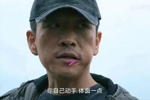 明星网红评论高启强,明星网红热议，揭秘网红新宠背后的故事