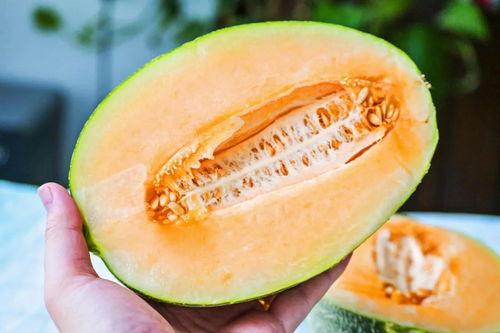 香甜蜜瓜今日在线营业,尽享夏日清新美味