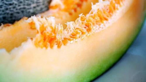 香甜蜜瓜今日在线营业,尽享夏日清新美味